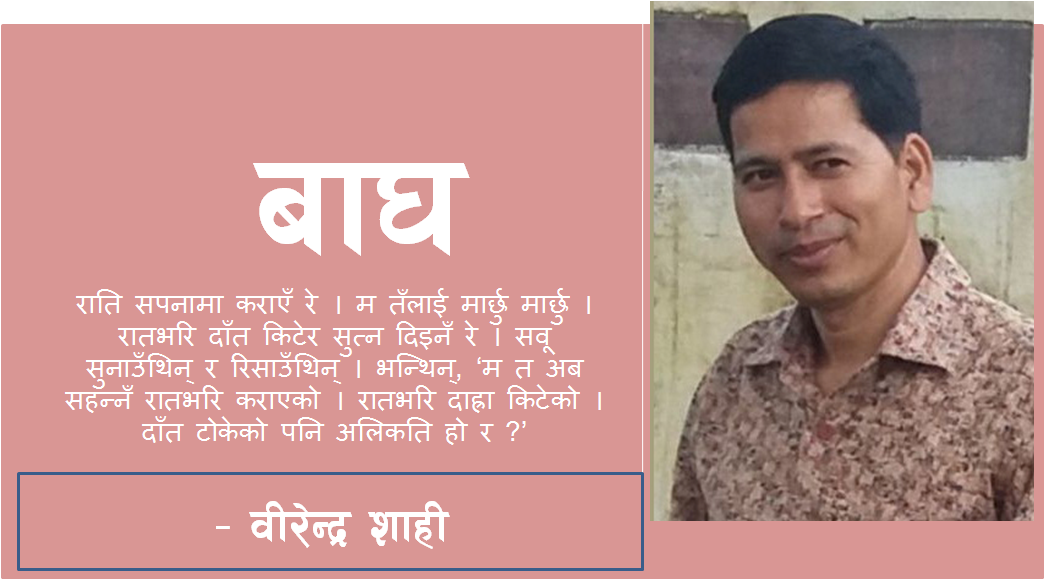 बाघ