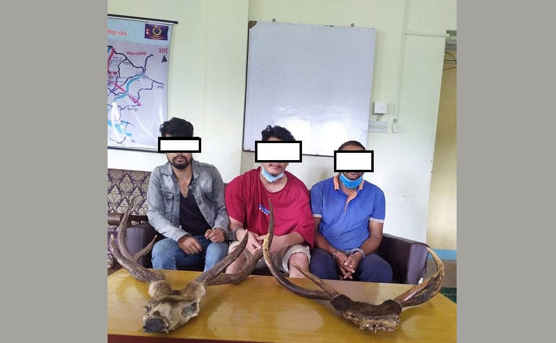 जरायोको सिङसहित दाङमा तीनजना पक्राउ