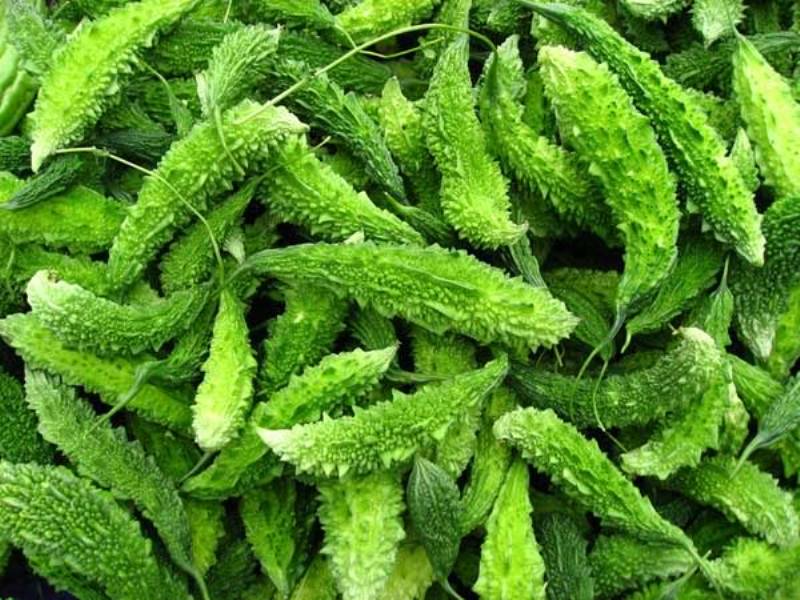 करेला : औषधीय गुणले भरिपूर्ण