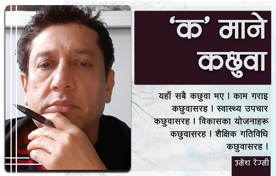 व्यंग्य : ‘क’ माने कछुवा
