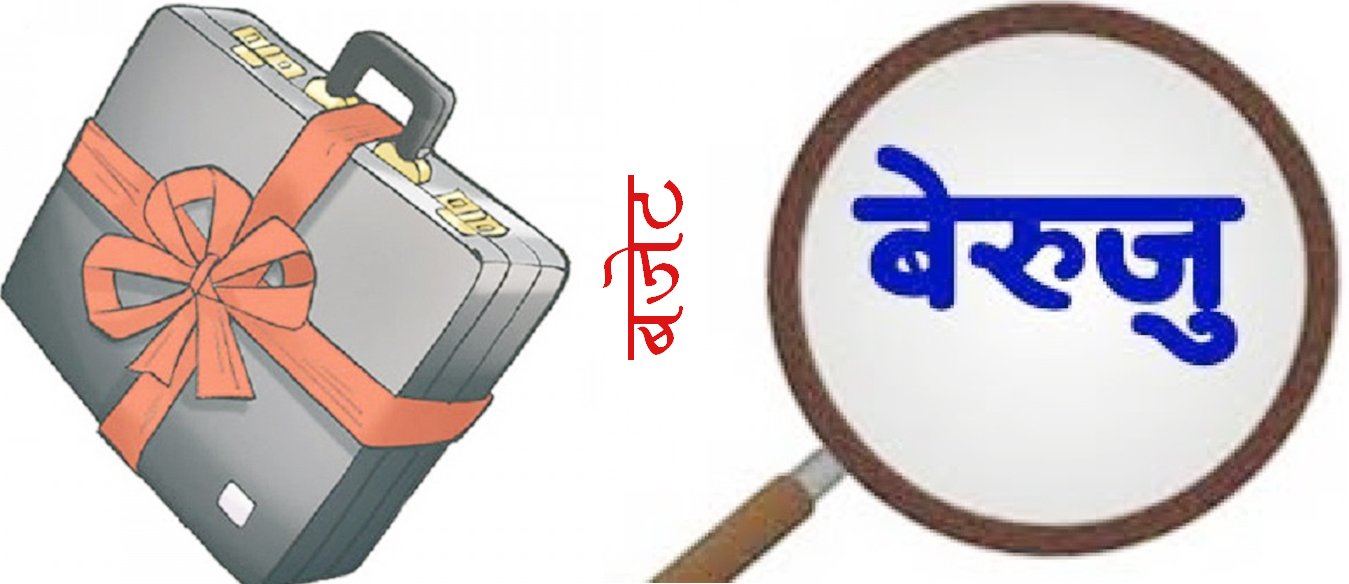 कपिलवस्तुका स्थानीय तहको बेरुजु १८ करोड