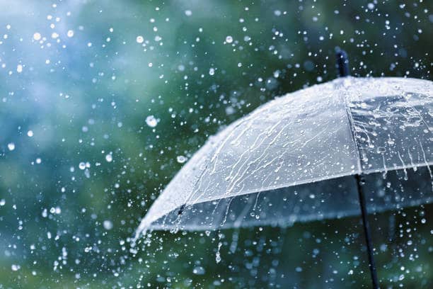 एक सताभित्रै मनसुन नेपाल प्रवेश गर्दै, कम बर्षाको संभावना