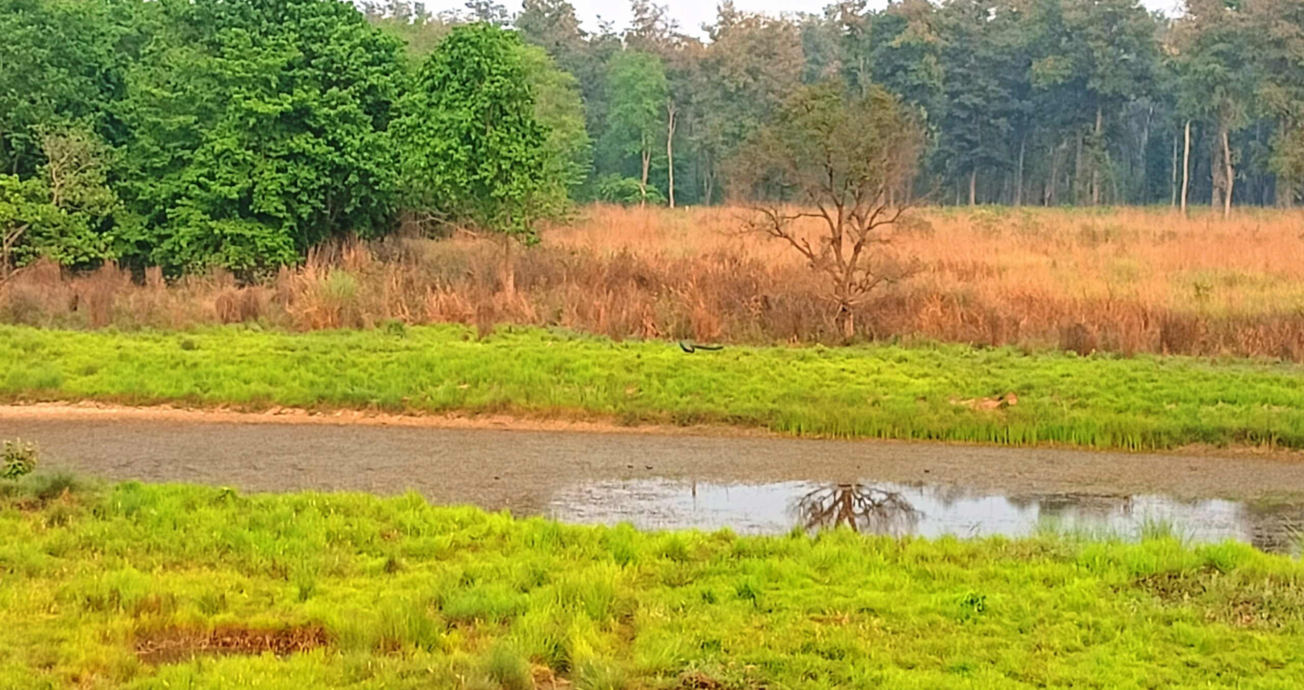 बर्दिया निकुञ्जमा करिब दुई सय मानव निर्मित पोखरी