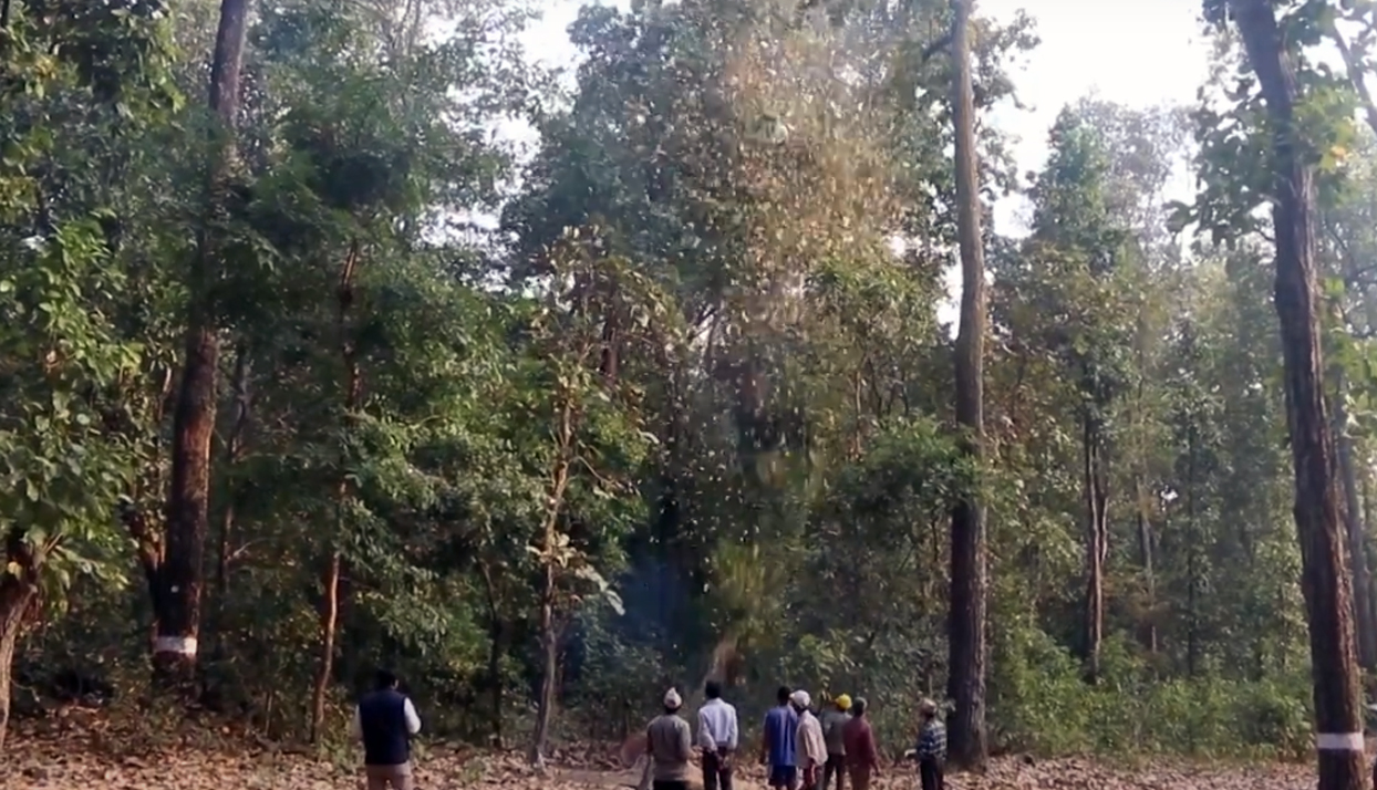 वनको आम्दानीले विकास