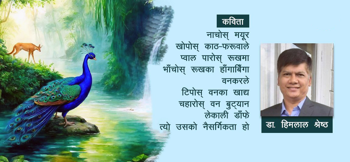 सार्वभौम वन