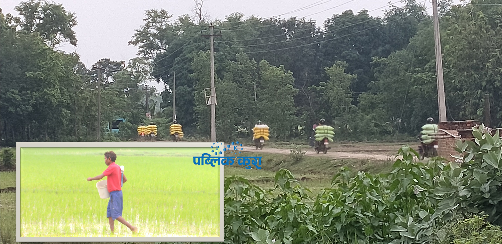 सीमा क्षेत्रका किसानलाई चोरीकै मलको भर