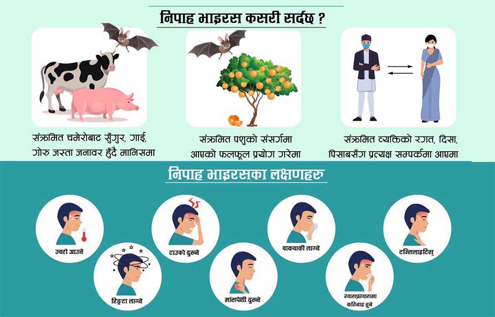 के हो निपाह भाइरस ?