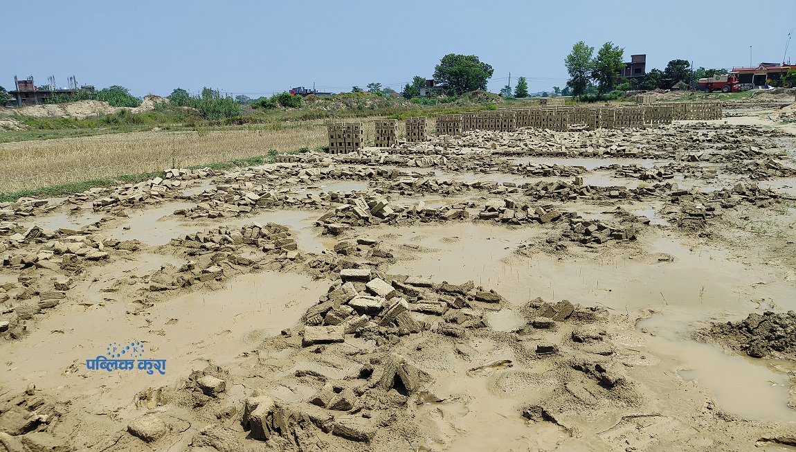 वर्षाले पकाउने तयारीमा रहेको करोडौंको काँचो ईंटा नष्ट