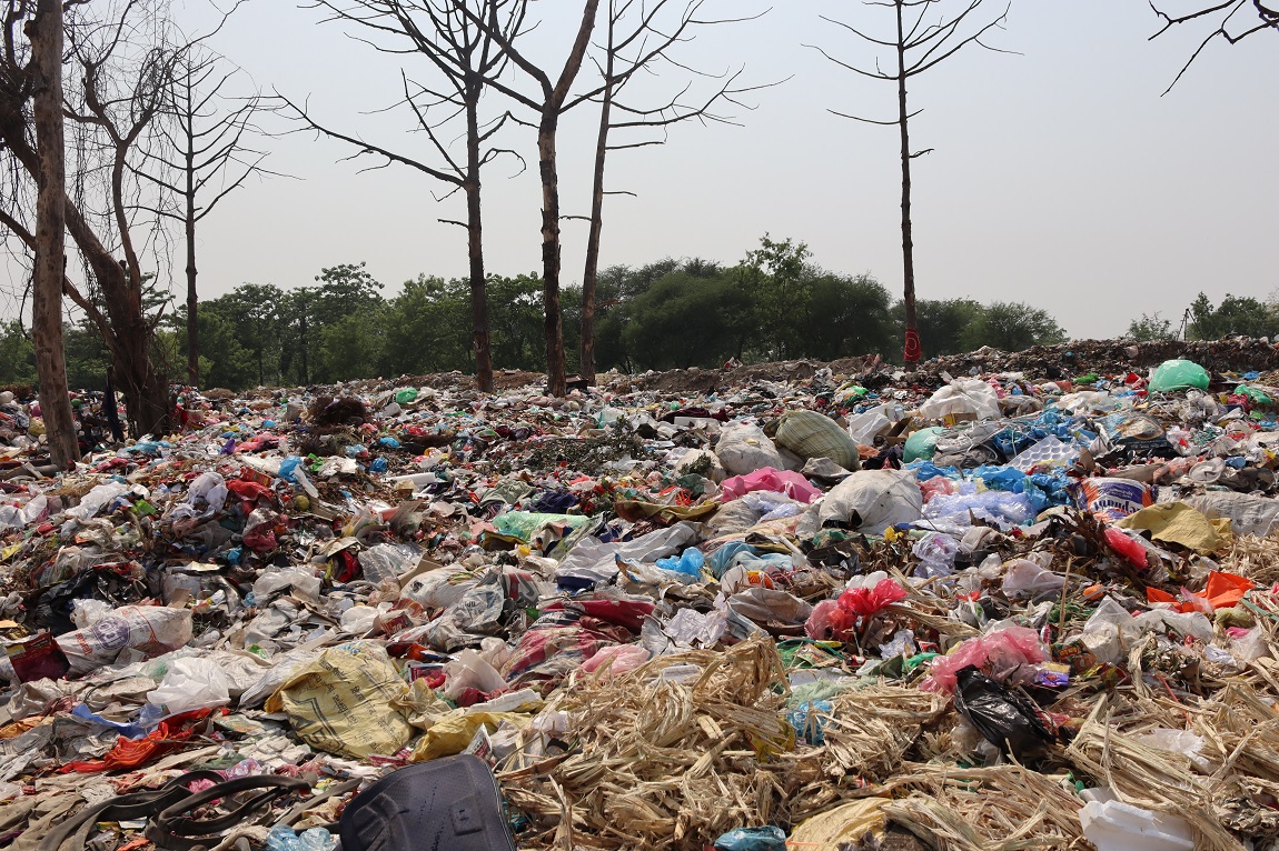 सिद्धार्थनगरमा फोहोरको बर्गिकरण गर्ने अवधि लम्बियो, नटेरे ५० हजारसम्म जरिवाना