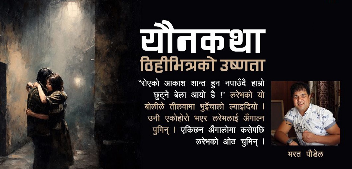 यौनकथा : ठिहीभित्रको उष्णता
