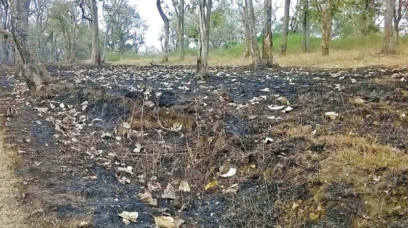 बाँकेमा डढेलो नियन्बण गर्न ‘आगो नियन्त्रण दस्ता’
