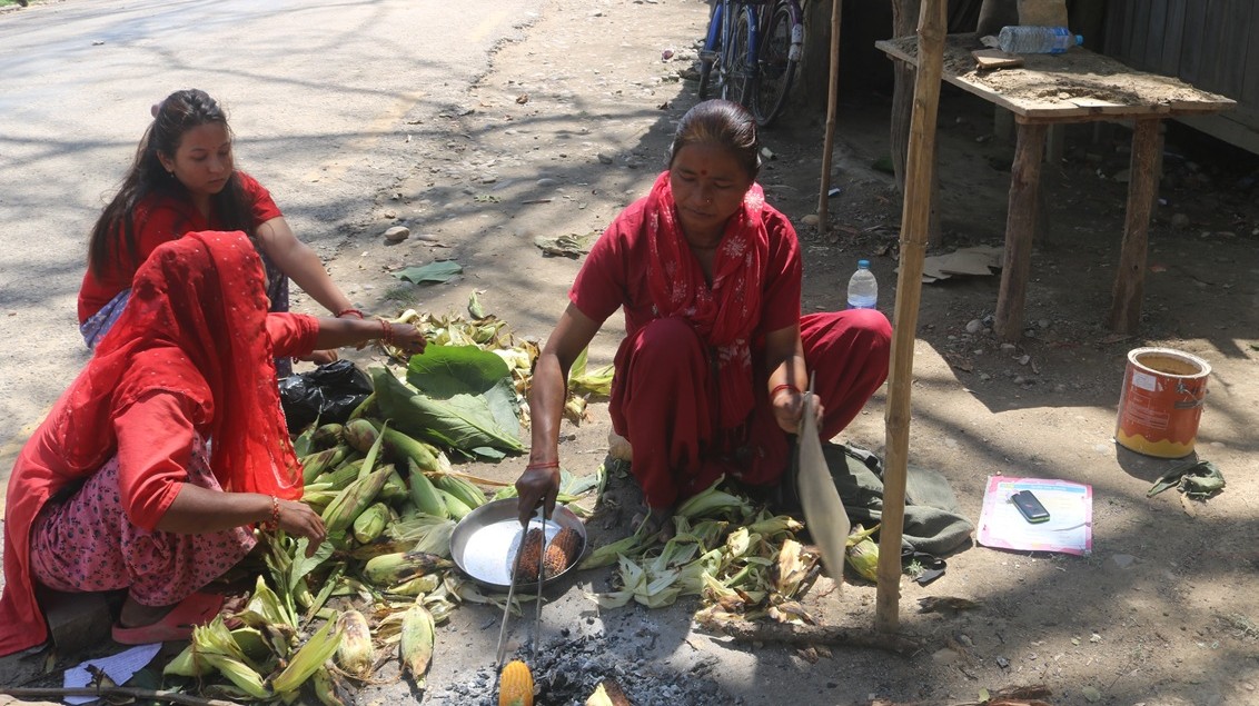 मकै पोलेर गुजारा चलाउँदै पूर्वनगर उपप्रमुख