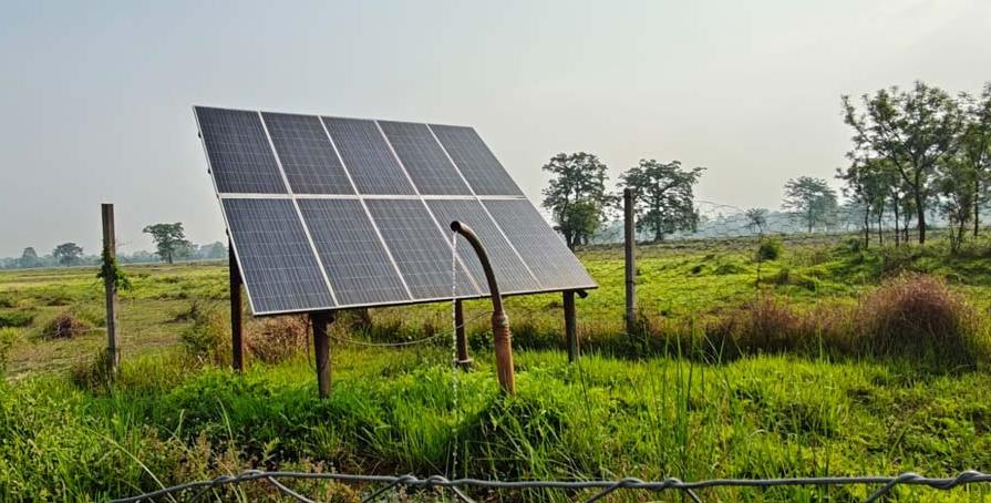वन्यजन्तुलाई पानी अभाव हुन नदिन सोलार प्रविधियुक्त पोखरी