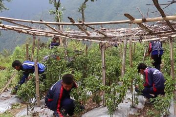 खेतीपाती गरेर विद्यालयमै आम्दानी