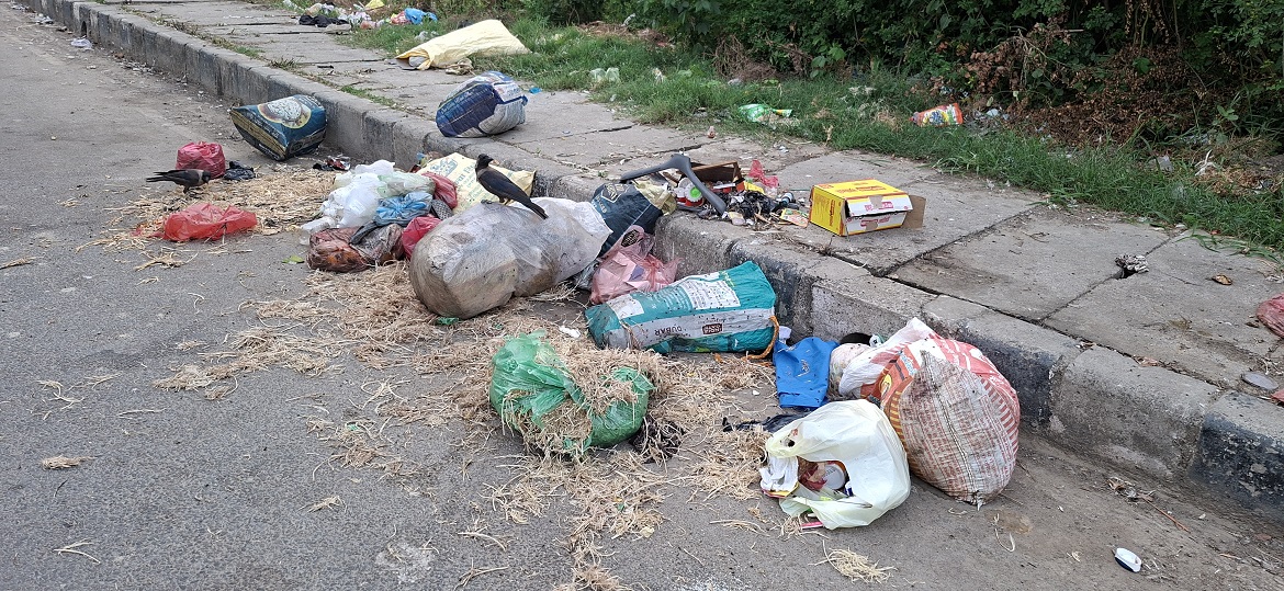 बर्डफ्लुको त्रासबीच भैरहवाका सडकमा असरल्ल कुखुराका प्वाँख
